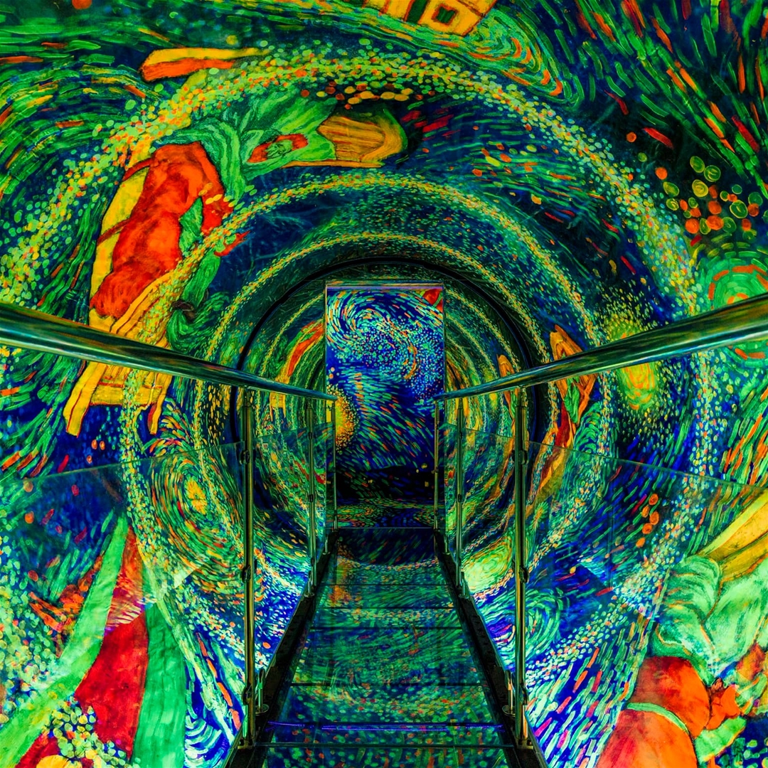 CHÍNH SÁCH DÀNH CHO TRƯỜNG NĂNG KHIẾU